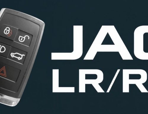 WhatsApp Image 2025-11-17 at 08.52.19 (1)